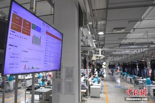 探訪浙江寧波 未來工廠 智能制造助力效能提升